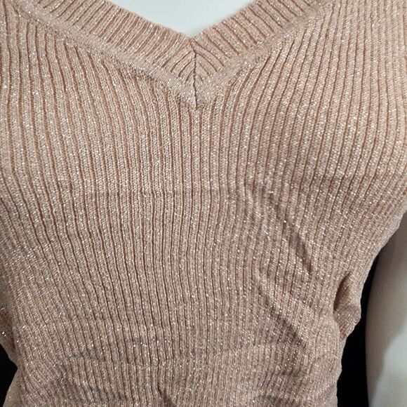 Yuka Rose Gold Sparkly Short Ruffle Sleeve Blouse - Picture 3 of 6